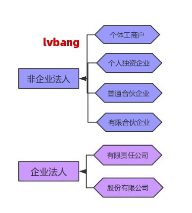 最新工商注册行业分类全面解析