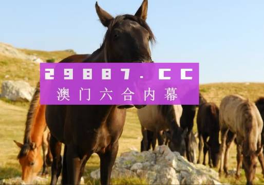 澳门管家婆一肖一码一中一,最新热门解答落实_精英版301.135