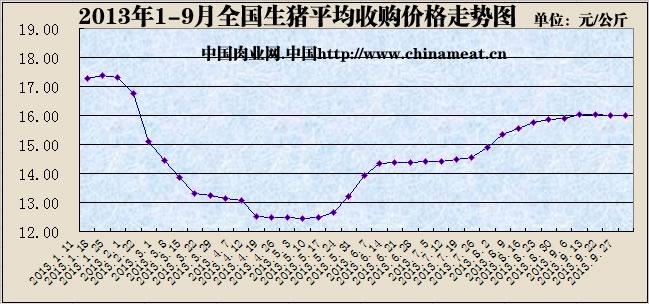 大猪价格最新行情分析与走势预测