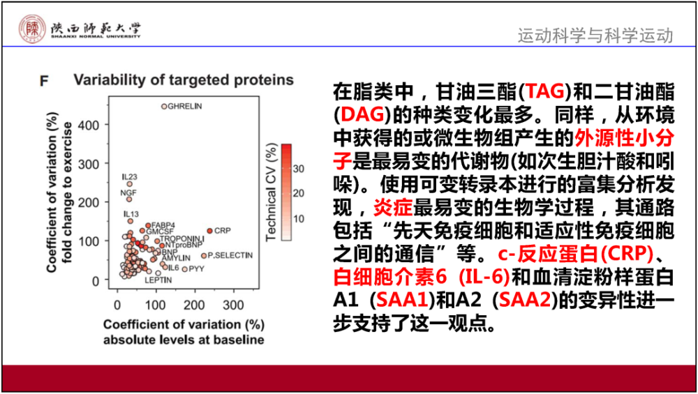 澳门资料大全免费正版,效率资料解释落实_游戏版256.183