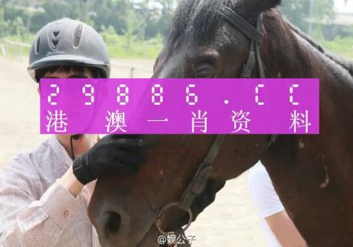 澳门最准的一肖一码,绝对经典解释落实_标准版90.65.32