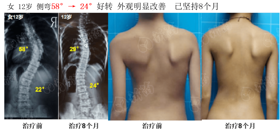 4949免费资料2024年,动态调整策略执行_进阶版6.662