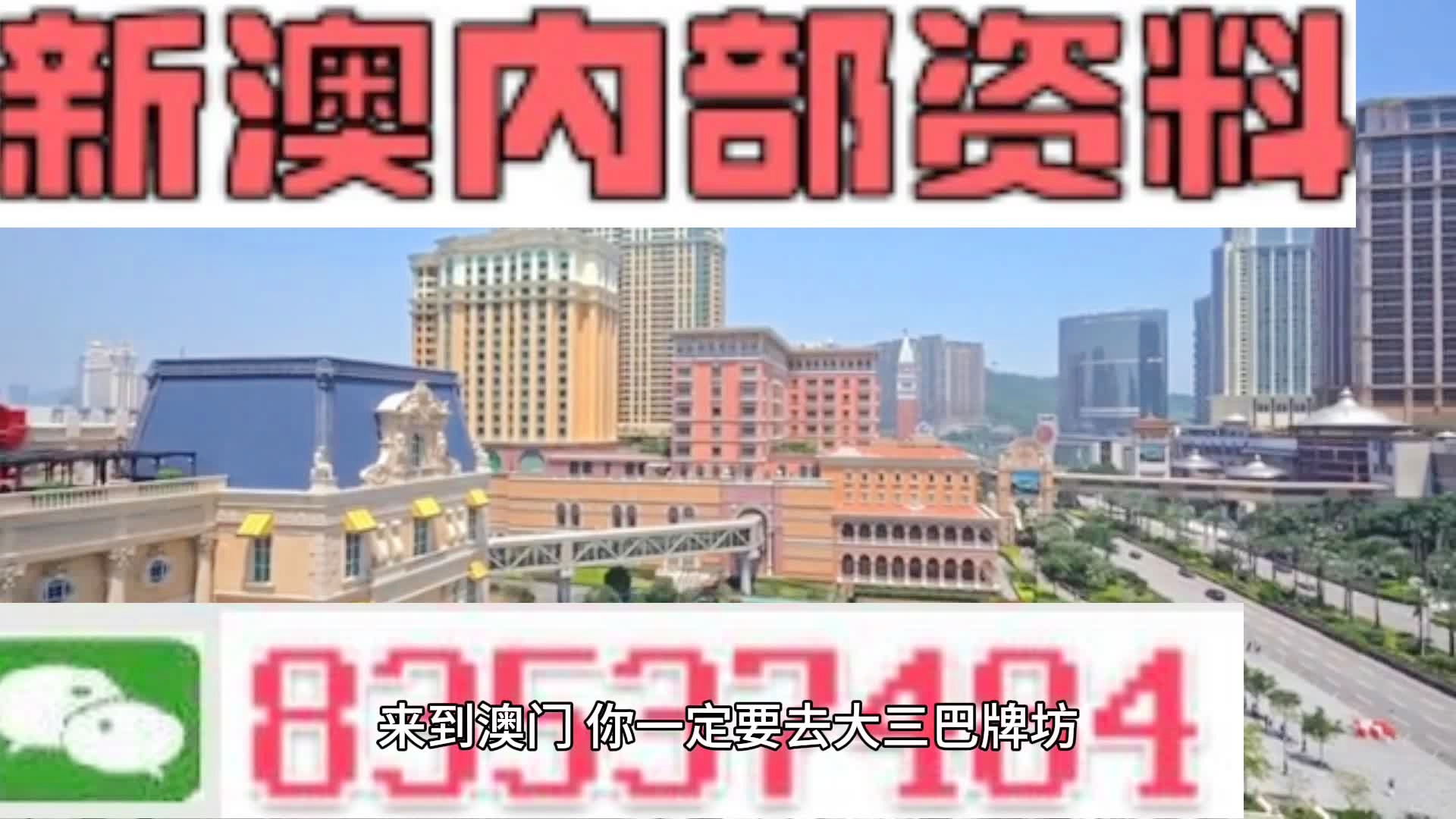 新澳门全年资料内部公开,动态词语解释落实_专业版150.205