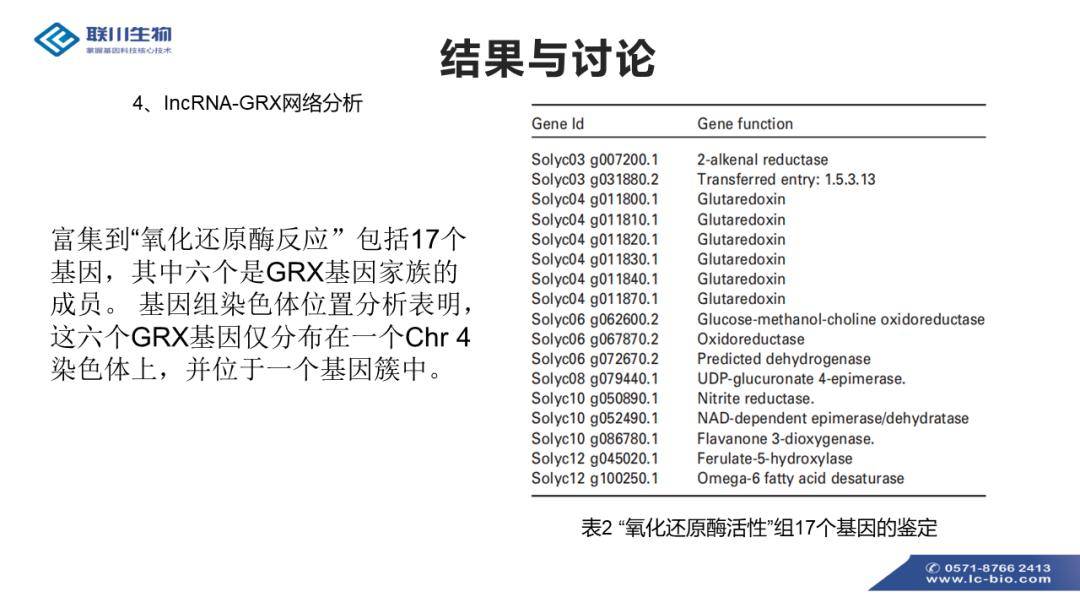 正版免费全年资料大全2012年,调整方案执行细节_游戏版256.183