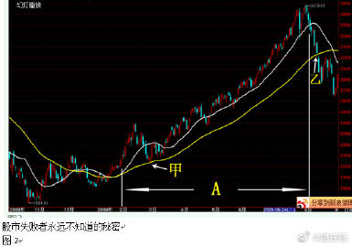 2004年一肖一码一中,实用性执行策略讲解_3DM36.30.79