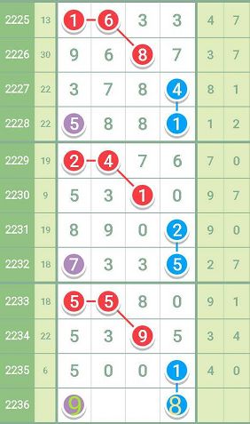 王中王最准一肖一码一特一中,诠释解析落实_定制版8.213