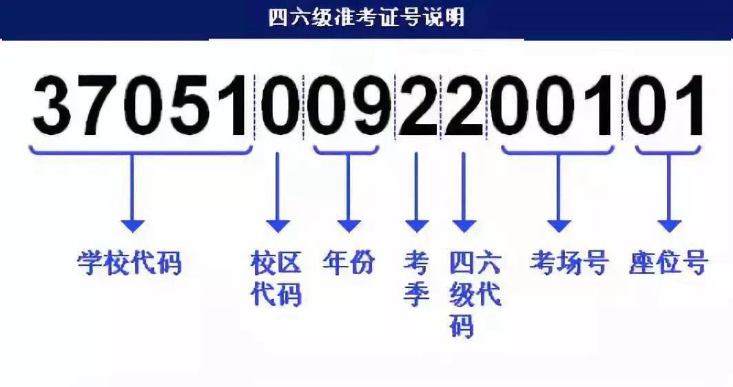 2024年11月4日 第38页