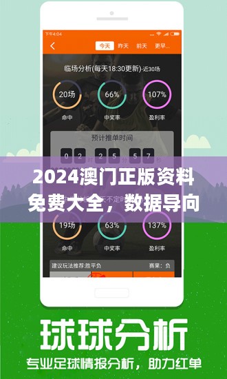 2024年澳门精准资料正版大全,全面理解执行计划_免费版1.227