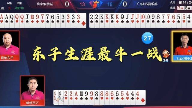 202管家婆一肖一吗,经典解释落实_游戏版256.183