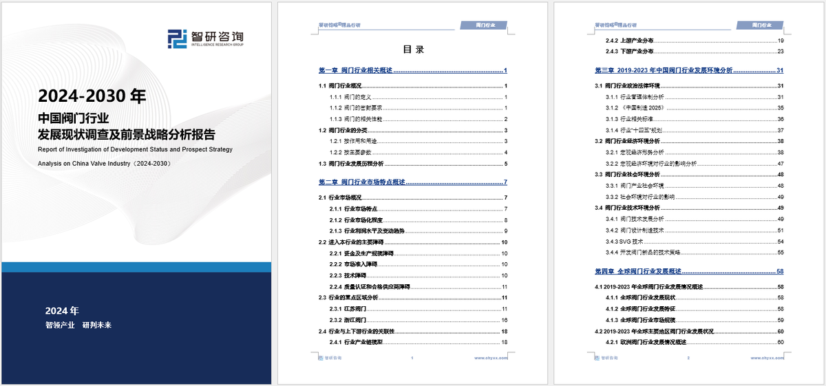 2024新奥门免费资料,全面执行分析数据_专业款11.210