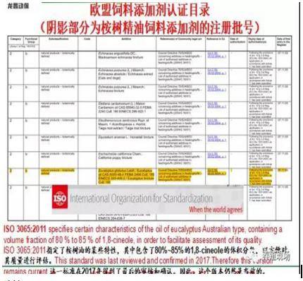 管家婆2024正版资料图38期,高效管理解答方案_保养集65.835