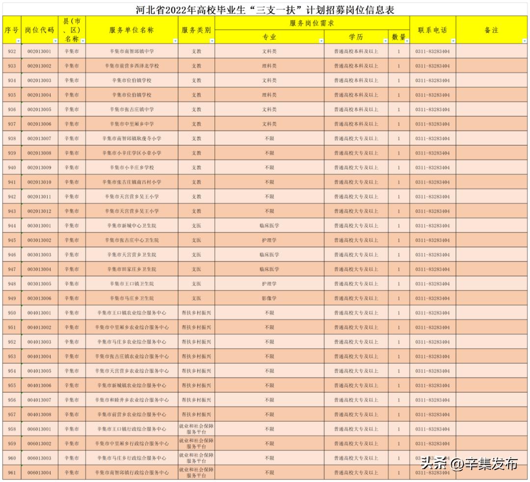 辛集招聘动态更新，职业发展的机遇与挑战解析