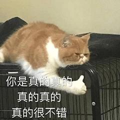 微信最新版功能深度解读与解析