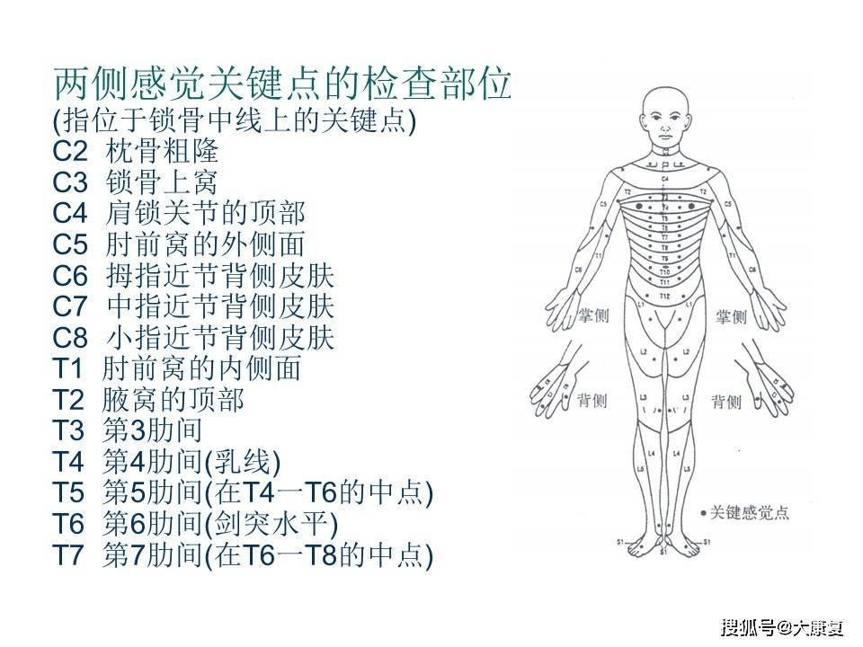 美国脊髓损伤研究获突破，最新动态与未来展望