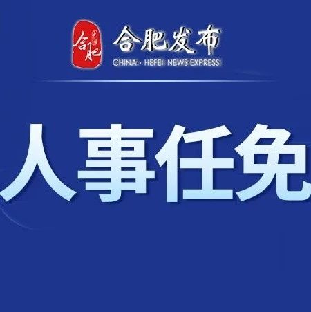 合肥人事任免概览，最新人事调整悉数揭晓（2017年）