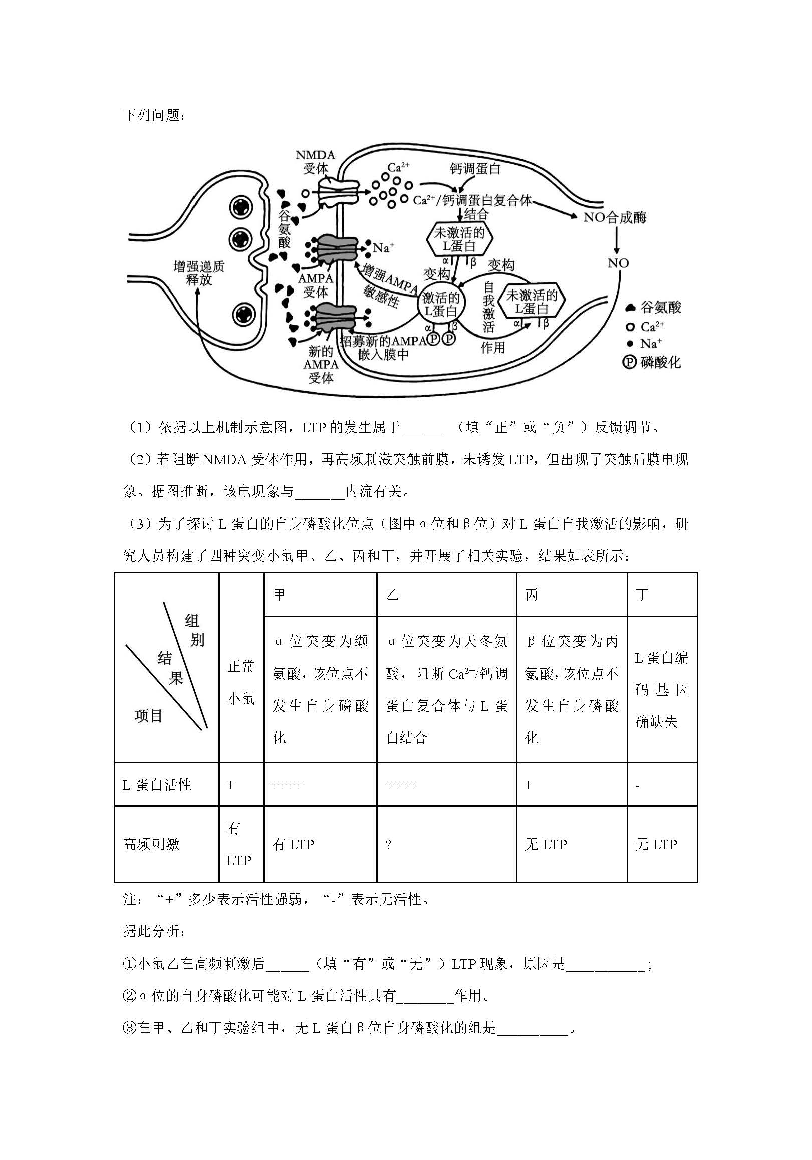 广东八二站82953ccm,最新解答解析说明_超级版78.198