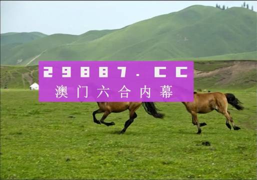 澳门跑狗,实地执行考察设计_入门版93.155