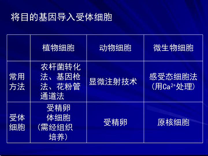 49图库-资料中心,科技成语分析落实_娱乐版305.210