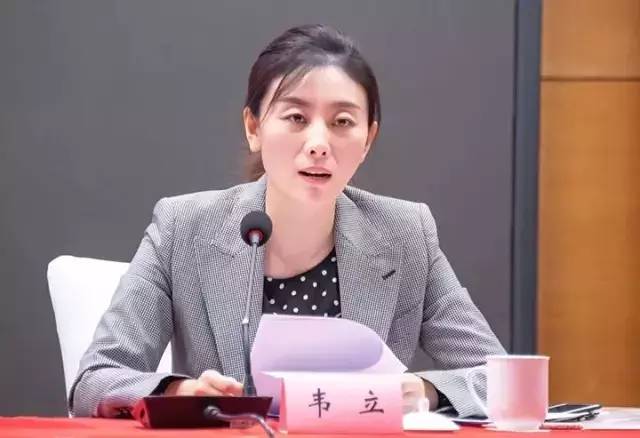 美丽处长韦立，职场女性的魅力与智慧全解析