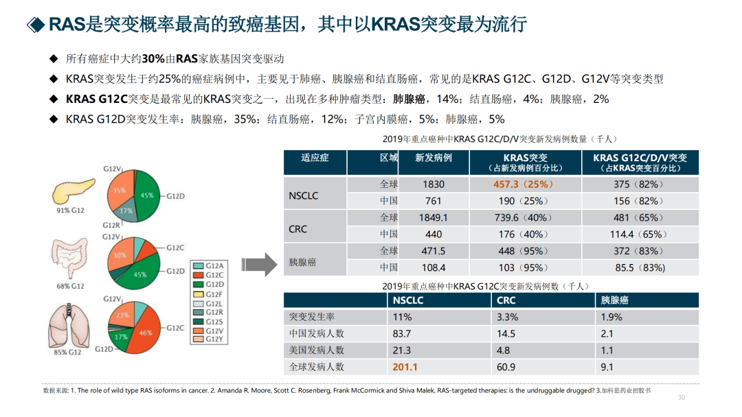 2024新奥资料免费精准109,前沿解析评估_BT品6.991