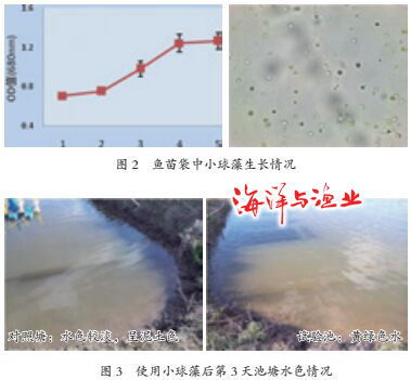 澳门资料大全免费资料,稳定策略计划操作_Superior40.65