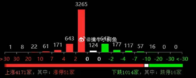 管家婆的资料一肖中特,稳健策略操作方案_I版51.121