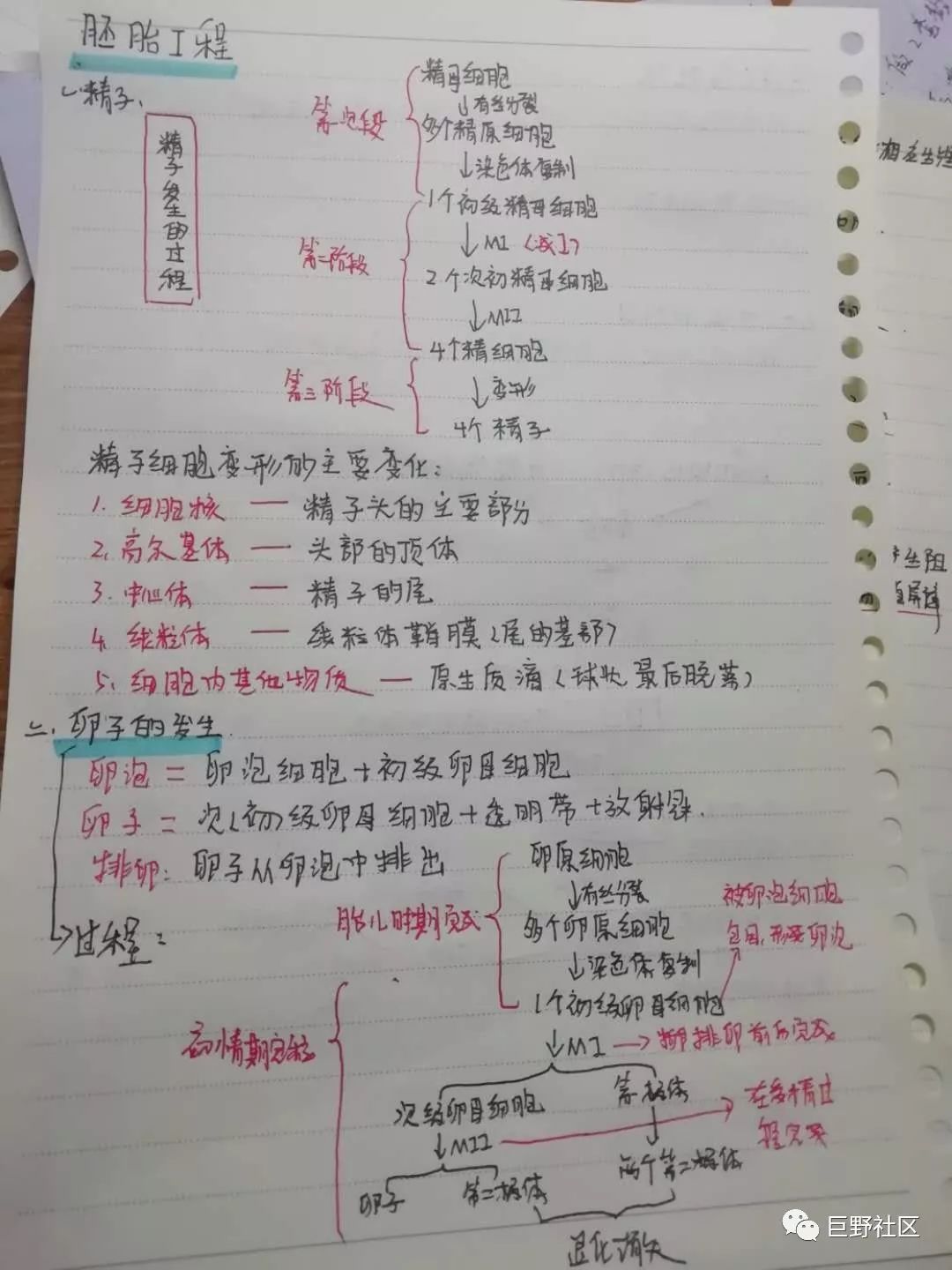 7777788888精准玄机,确保成语解析_注释制45.485