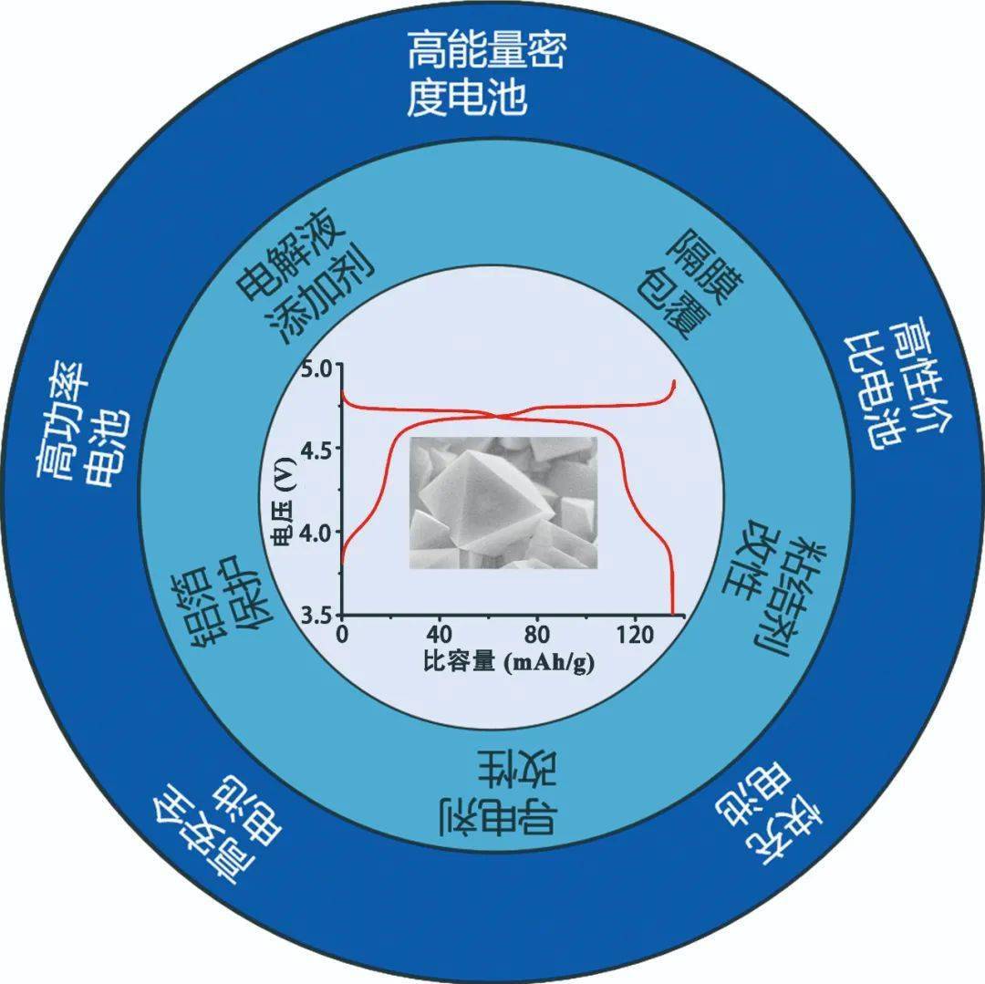 2024年11月13日 第6页