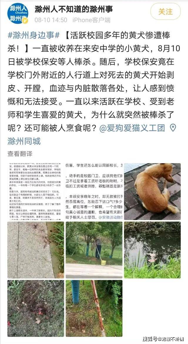 来安最新视频揭秘，前沿科技与生活方式完美融合